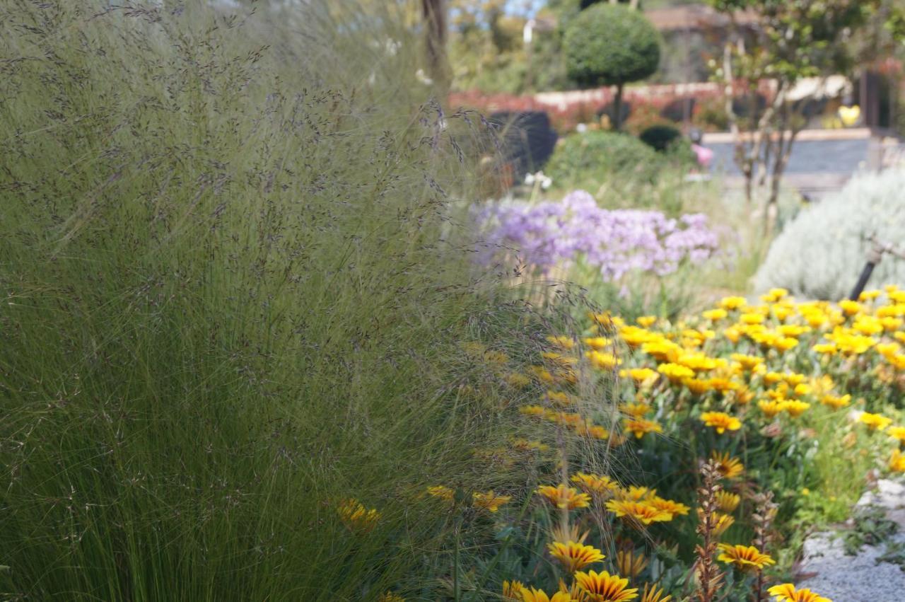Les Jardins De Santa Giulia - Charmante Chambre D'Hote Porto Vecchio Esterno foto