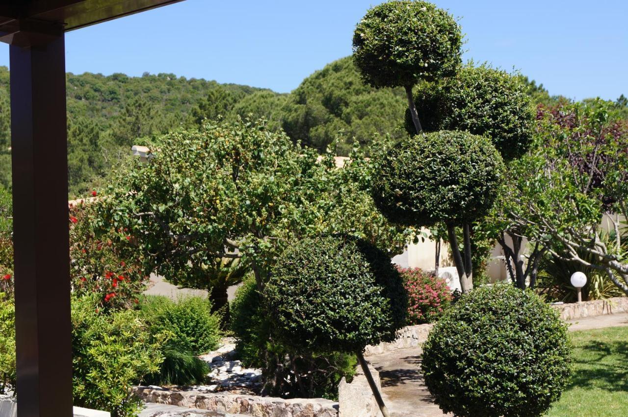 Les Jardins De Santa Giulia - Charmante Chambre D'Hote Porto Vecchio Esterno foto