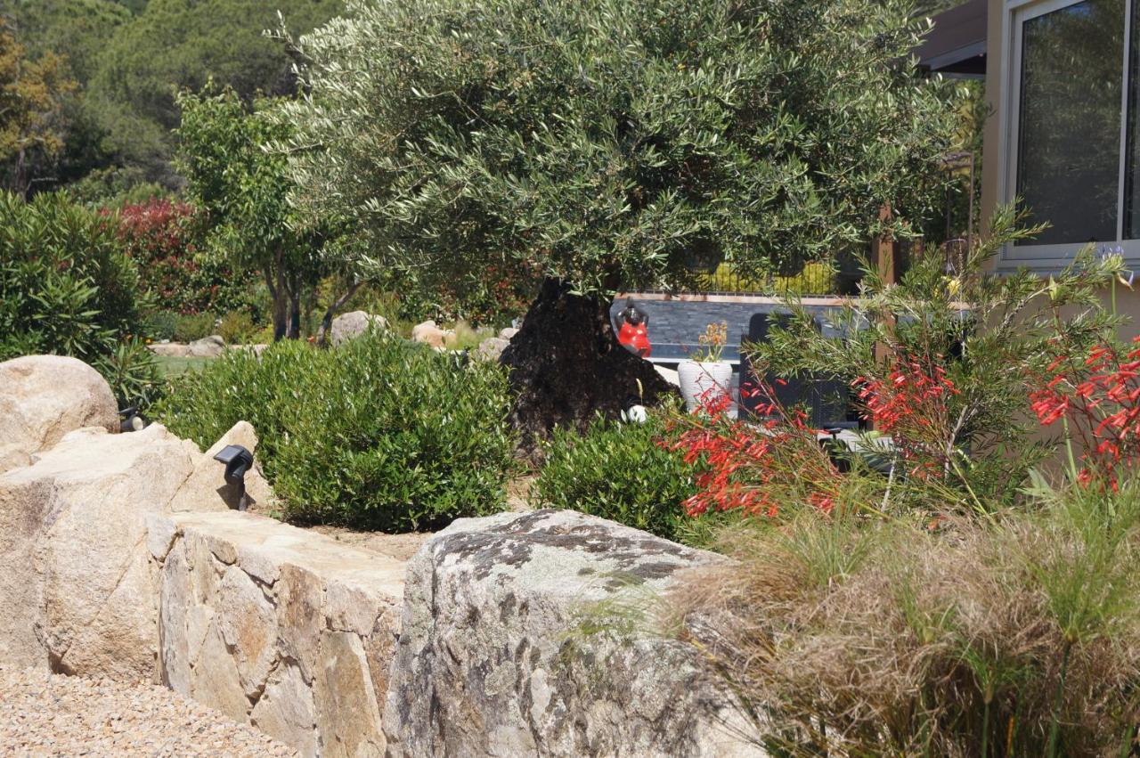 Les Jardins De Santa Giulia - Charmante Chambre D'Hote Porto Vecchio Esterno foto